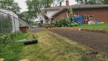 Home Gardening - Man In T-shirt Wearing Shorts And Boots Preparing New Vegetable Garden Area.