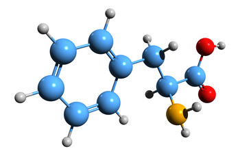 Wall Mural - 3D image of phenylalanine skeletal formula - molecular chemical structure of essential amino acid  isolated on white background