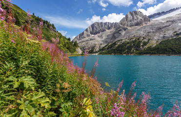 Papier Peint - Awesome alpine highland in sunny day. Colorful spring scene. Summer view of Fedaia lake and Marmolada mountain. Gran Poz location, Trentino-Alto Adige. Italy,
