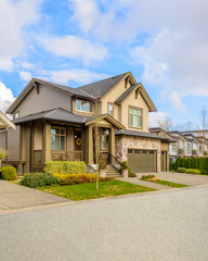 Wall Mural - A perfect neighborhood. Houses in suburb at Spring in the north America.