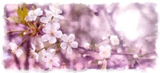 Poster - Blooming cherry branch in the spring garden at the wedding ceremony.