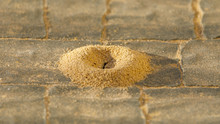 Close-up View Of Small Round Anthill From The Sand At Sunrise