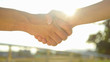 © helivideo - CLOSE UP: Two business partners shake hands in the park on a sunny spring day.