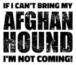 © Miceking - If I can't bring my Afghan Hound