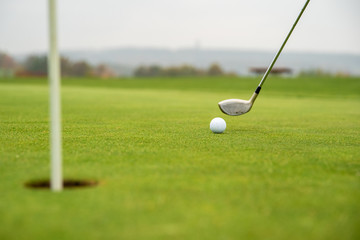 Wall Mural - golf game on green course with ball and stick