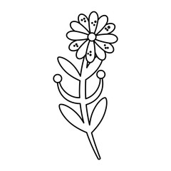 Poster - cute flower with branch and leafs isolated icon