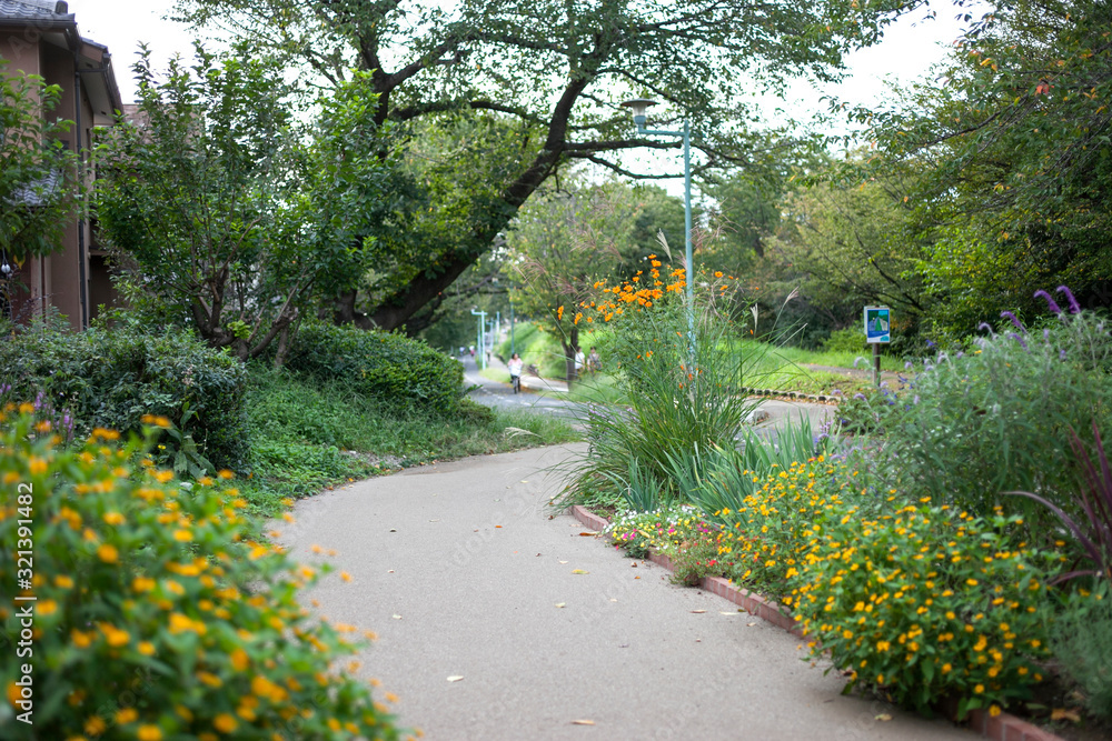 狭山 境緑道 多摩湖自転車道 西東京市区間 Fototapety