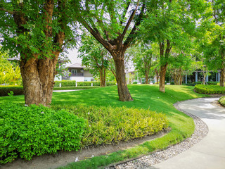 smooth green grass lawn, greenery trees and shrub in a good maintenance landscape and garden, gray c