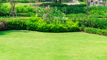 Fresh green grass smooth lawn with bush, trees on the background, good maintenance landscapes in a garden under cloudy sky and morning sunlight