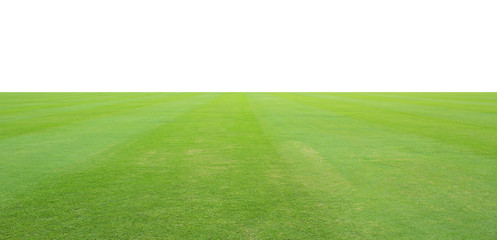 Canvas Print - grass field isolated on white background.
