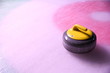 curling stone on ice near the home colorful background