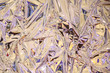  texture of crumpled mirror film with highlights