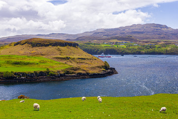 Wall Mural - Landschauft auf Skye