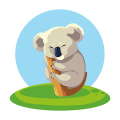 Sticker - cute australian Koala on a tree with background landscape