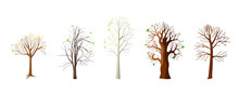 Flat Collection With Spring Trees. Trees Oak, Aspen, Maple, Chestnut, Willow Leaves Awakening. Isolated Vector Illustration.