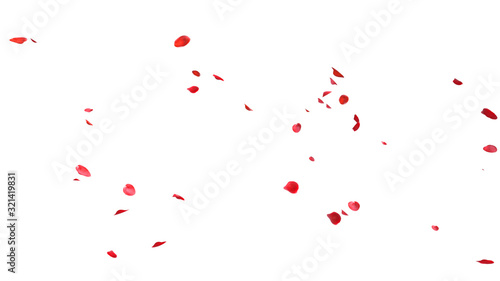 Red rose petals Blowing in the wind on a white background. © suppa