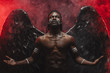 © Roman - portrait of dark angel with grand black wings on his back, black angel descended from heaven, he was bored among angels that is why suffer from pain of not being among mortals, isolated photoshot