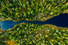 Aerial View Of Fast River Through Green Pine Forest In Finland
