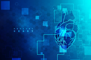 2d illustration anatomy of human heart