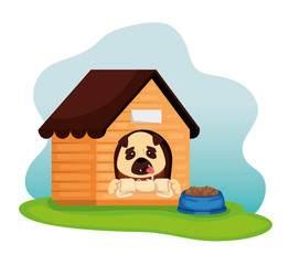 Poster - little dog with wooden house and dish food