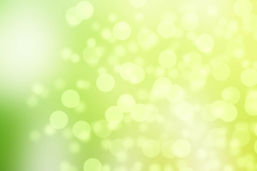 Sticker - sunny abstract green nature background, selective focus
