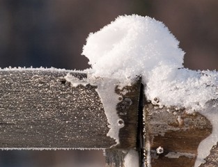 Canvas Print - snow