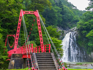 Wall Mural - hottainotaki falls　法体の滝