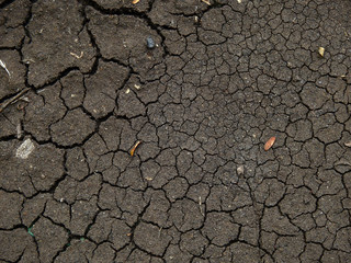 Sticker - crack ground texture, dry soil