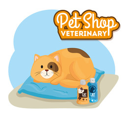 Canvas Print - pet shop veterinary with little cat