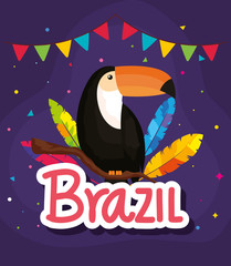 Wall Mural - poster of carnival brazil with toucan and decoration