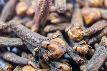 Seasoning dried cloves close-up. Macro photo