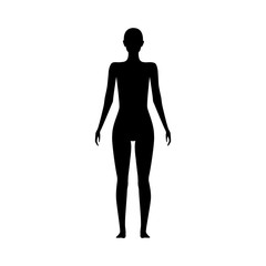 front view human body silhouette of an adult female