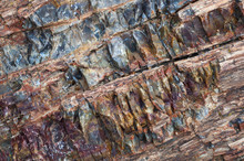 Closeup Of Petrified Wood, Escalante State Park, Utah, USA
