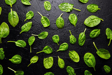 Spinach green fresh leaves with water drops on a black background