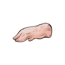 Pork Meat Chart Element - Foot With Hoof, Cartoon Sketch Vector Illustration Isolated.