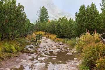 Autumn mountain hike trail l in High Tatras mountain with foggy mountain in the background