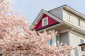 Wall Mural - The top of the house or apartment building with nice window.