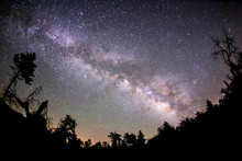 Milky Way Above A Forest In The Mount Laguna Mountains Of San Diego County