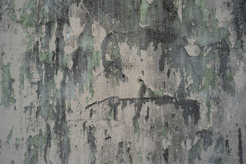 The background of the old cement wall with the color fade