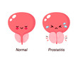 Normal prostate and benign prostatic hyperplasia