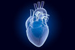 © alexlmx - Human heart, x-ray hologram. 3D rendering