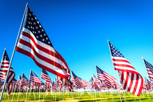 A Large Group Of American Flags. Veterans Or Memorial Day Display