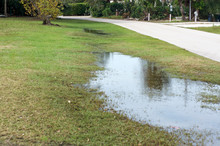 A Large Puddle Is Formed From Rainstorm Creating Swamping Grassland Area At Side Of Road In Bonita Springs Florida.