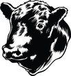 Bull Head Vector Illustration