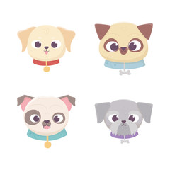 Sticker - cute faces dog different pedigree domestic cartoon animal, collection pets