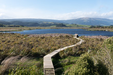 Boardwalk Across The Wetlands To The Lake At Sinclair Wetlands, Otago, New Zealand.