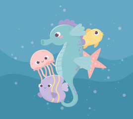 Sticker - seahorse jellyfish fishes starfish bubbles life cartoon under the sea