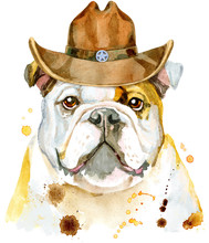 Watercolor Portrait Of Bulldog With Cowboy Hat