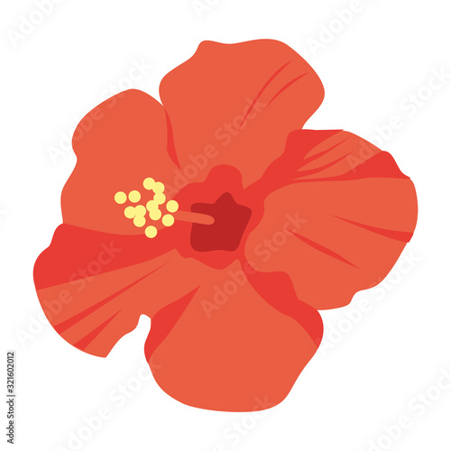 南国で咲いているオレンジ色のハイビスカスのイラスト Stock Vector Adobe Stock
