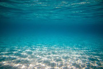 Wall Mural - empty underwater ocean bottom background with copy space